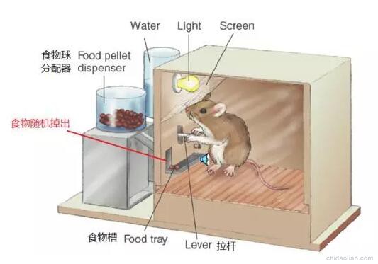 &#39318;&#39029;&#95;&#74;&#68;&#66;&#40;&#20013;&#22269;&#41;&#30005;&#23376;&#95;&#23448;&#26041;&#32593;&#31449;