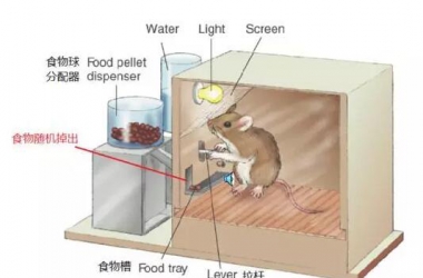 &#39318;&#39029;&#95;&#74;&#68;&#66;&#40;&#20013;&#22269;&#41;&#30005;&#23376;&#95;&#23448;&#26041;&#32593;&#31449;