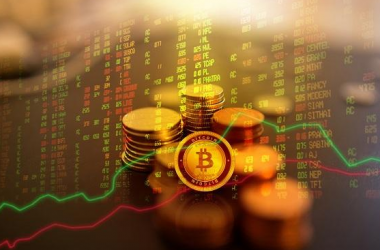 &#39318;&#39029;&#95;&#74;&#68;&#66;&#40;&#20013;&#22269;&#41;&#30005;&#23376;&#95;&#23448;&#26041;&#32593;&#31449;