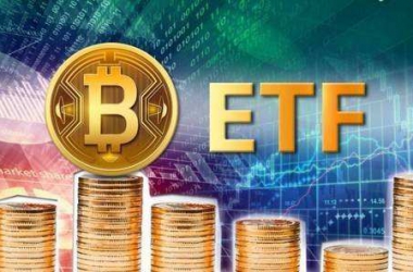 &#39318;&#39029;&#95;&#74;&#68;&#66;&#40;&#20013;&#22269;&#41;&#30005;&#23376;&#95;&#23448;&#26041;&#32593;&#31449;