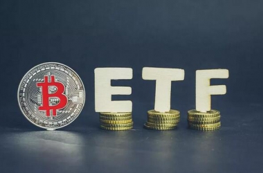&#39318;&#39029;&#95;&#74;&#68;&#66;&#40;&#20013;&#22269;&#41;&#30005;&#23376;&#95;&#23448;&#26041;&#32593;&#31449;
