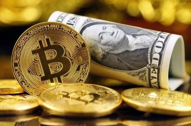&#39318;&#39029;&#95;&#74;&#68;&#66;&#40;&#20013;&#22269;&#41;&#30005;&#23376;&#95;&#23448;&#26041;&#32593;&#31449;