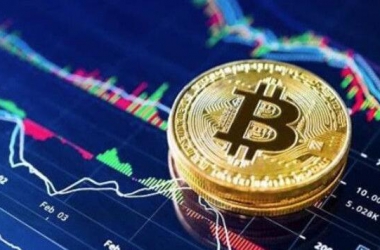 &#39318;&#39029;&#95;&#74;&#68;&#66;&#40;&#20013;&#22269;&#41;&#30005;&#23376;&#95;&#23448;&#26041;&#32593;&#31449;