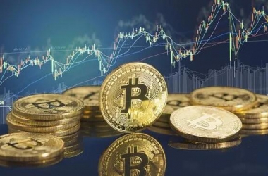 &#39318;&#39029;&#95;&#74;&#68;&#66;&#40;&#20013;&#22269;&#41;&#30005;&#23376;&#95;&#23448;&#26041;&#32593;&#31449;