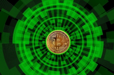 &#39318;&#39029;&#95;&#74;&#68;&#66;&#40;&#20013;&#22269;&#41;&#30005;&#23376;&#95;&#23448;&#26041;&#32593;&#31449;